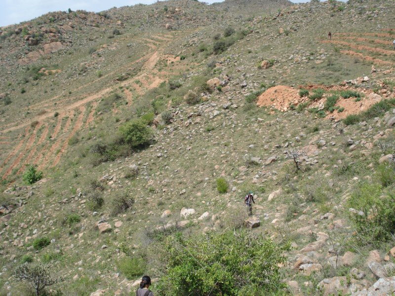 inthetrekkingpath2.jpg