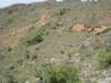 inthetrekkingpath2_small.jpg