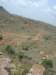 inthetrekkingpath8_small.jpg