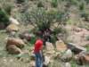 undertheshadeofcactus1inthetrekkingpath_small.jpg