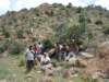 undertheshadeofcactus2inthetrekkingpath_small.jpg